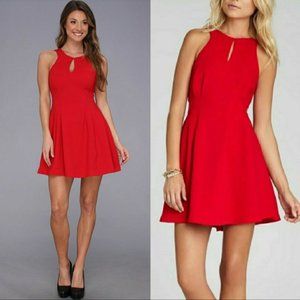 Red Mini Dress (Cerise)